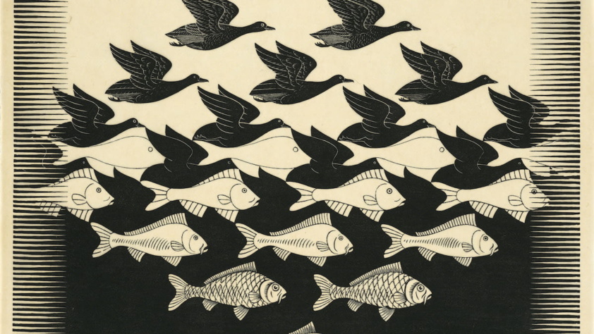 Escher birds and fish